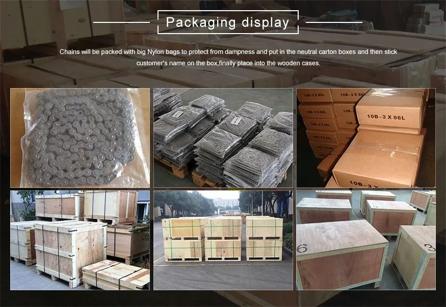 Stainless steel conveyor chains (M series) packaging
